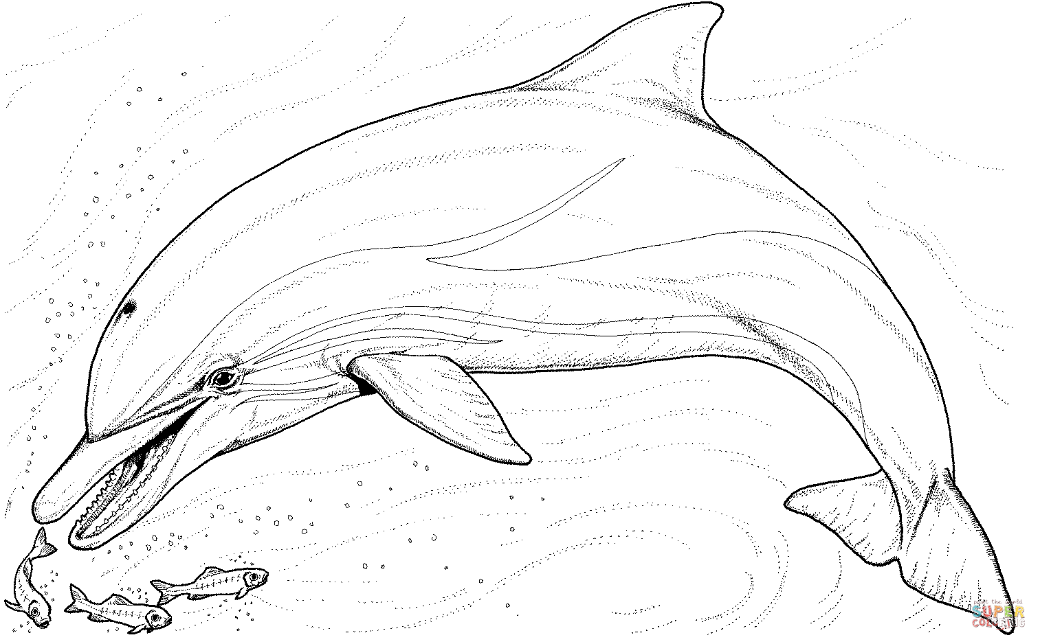 Delfin kolorowanki
